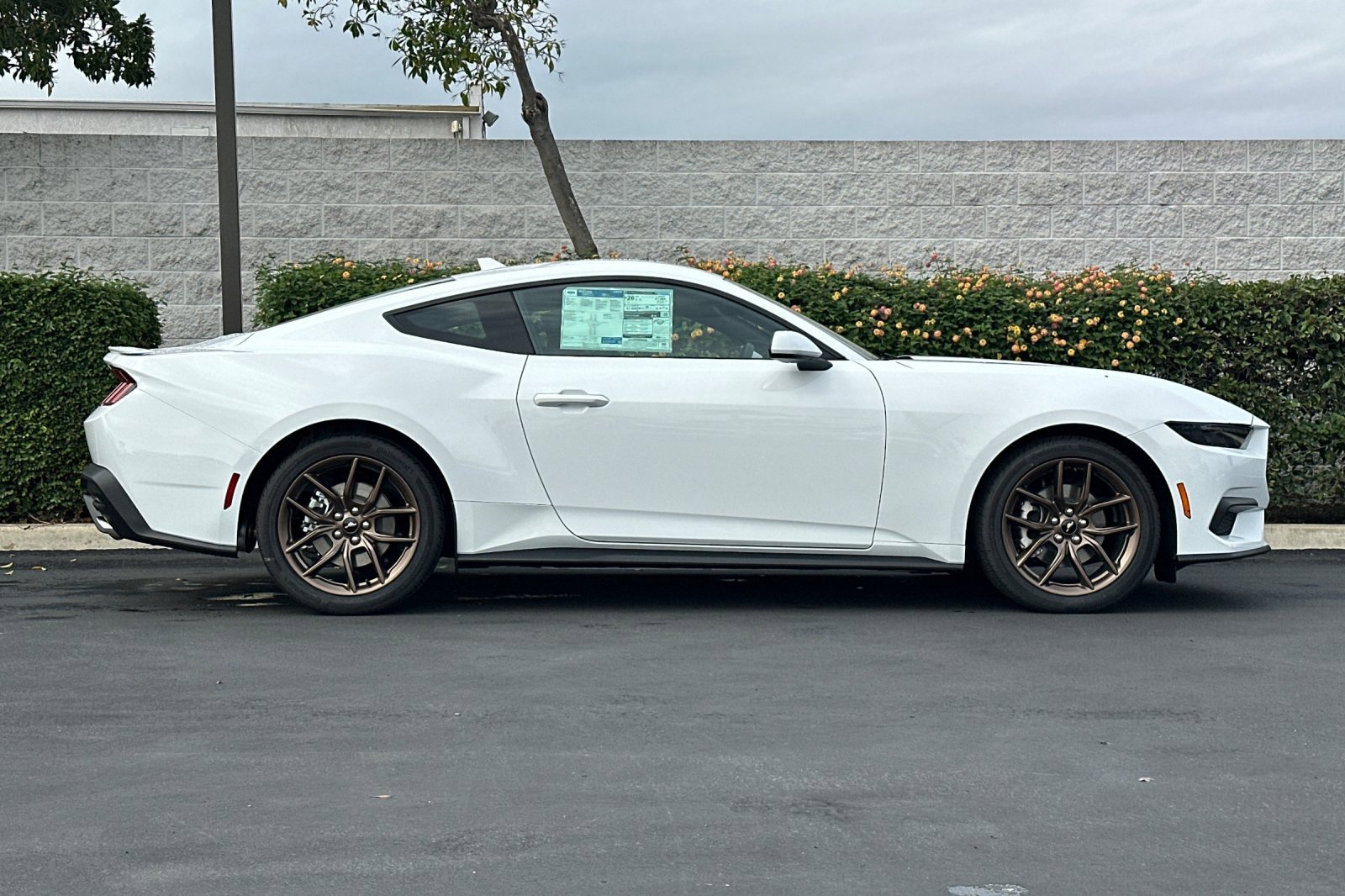 New 2026 Ford Mustang Coupe w/ Bronze Appearance Package image 3