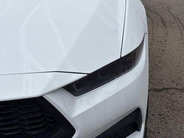 New 2026 Ford Mustang Coupe image 10