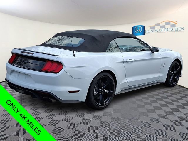 Used 2023 Ford Mustang Premium w/ Equipment Group 201A image 7