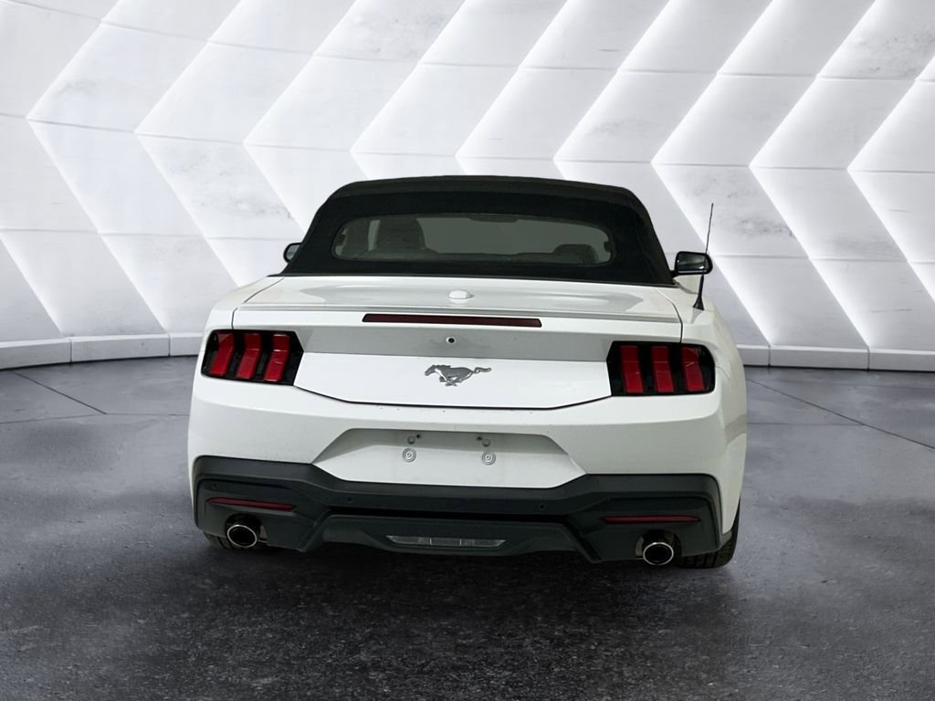 Used 2024 Ford Mustang Premium RWD image 5