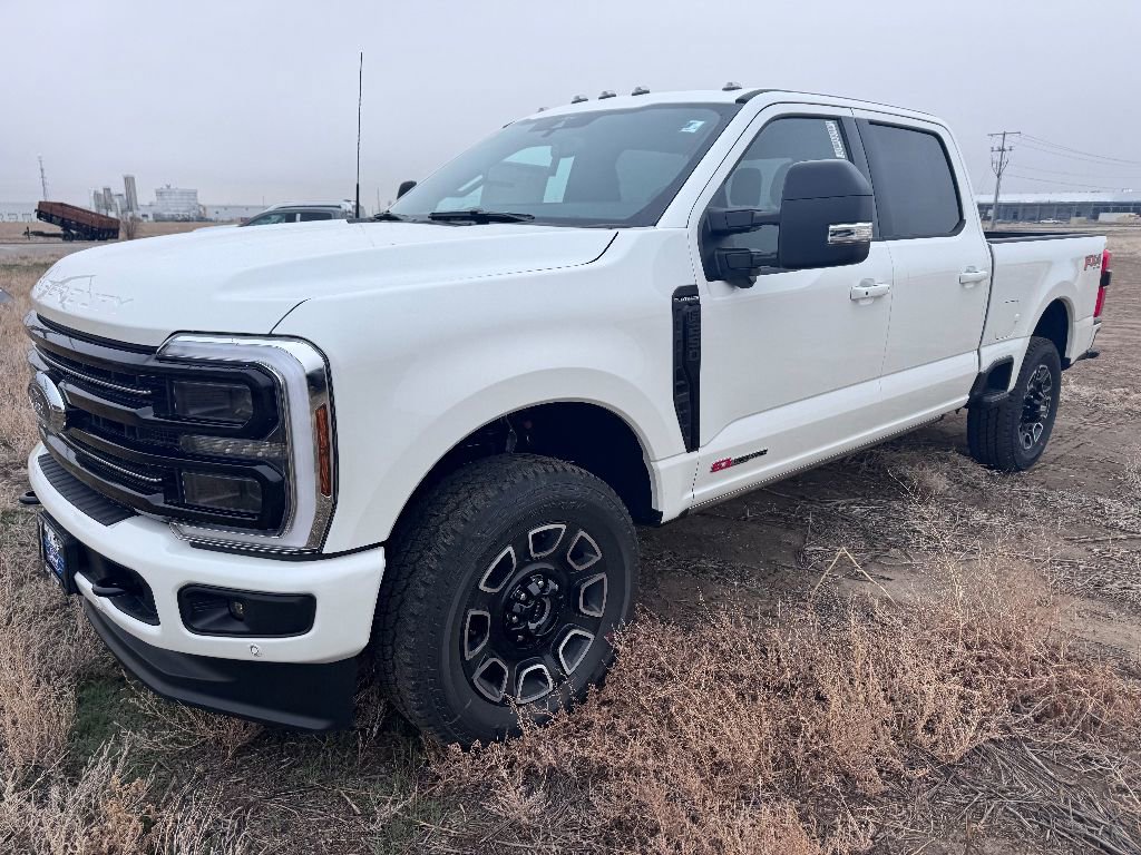 New 2025 Ford F250 Platinum image 2