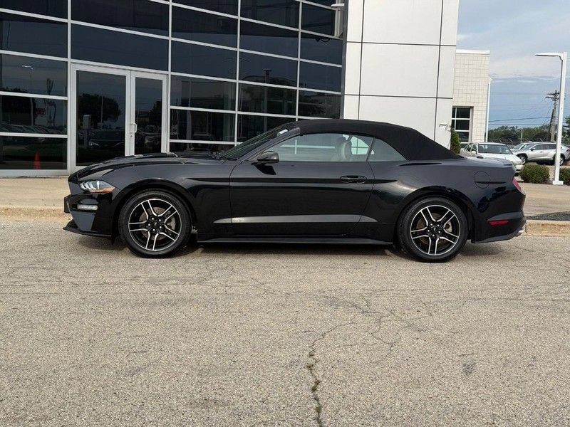 Used 2022 Ford Mustang Premium RWD image 6