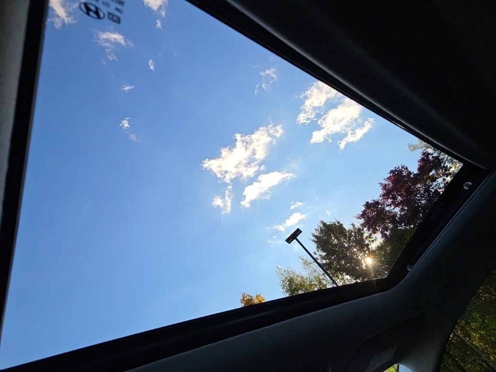 Used 2023 Hyundai Elantra Limited image 22