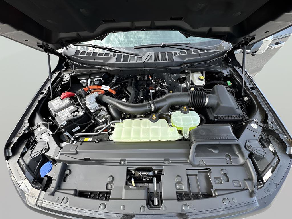 New 2025 Ford F150 XLT w/ Equipment Group 302A MID image 17