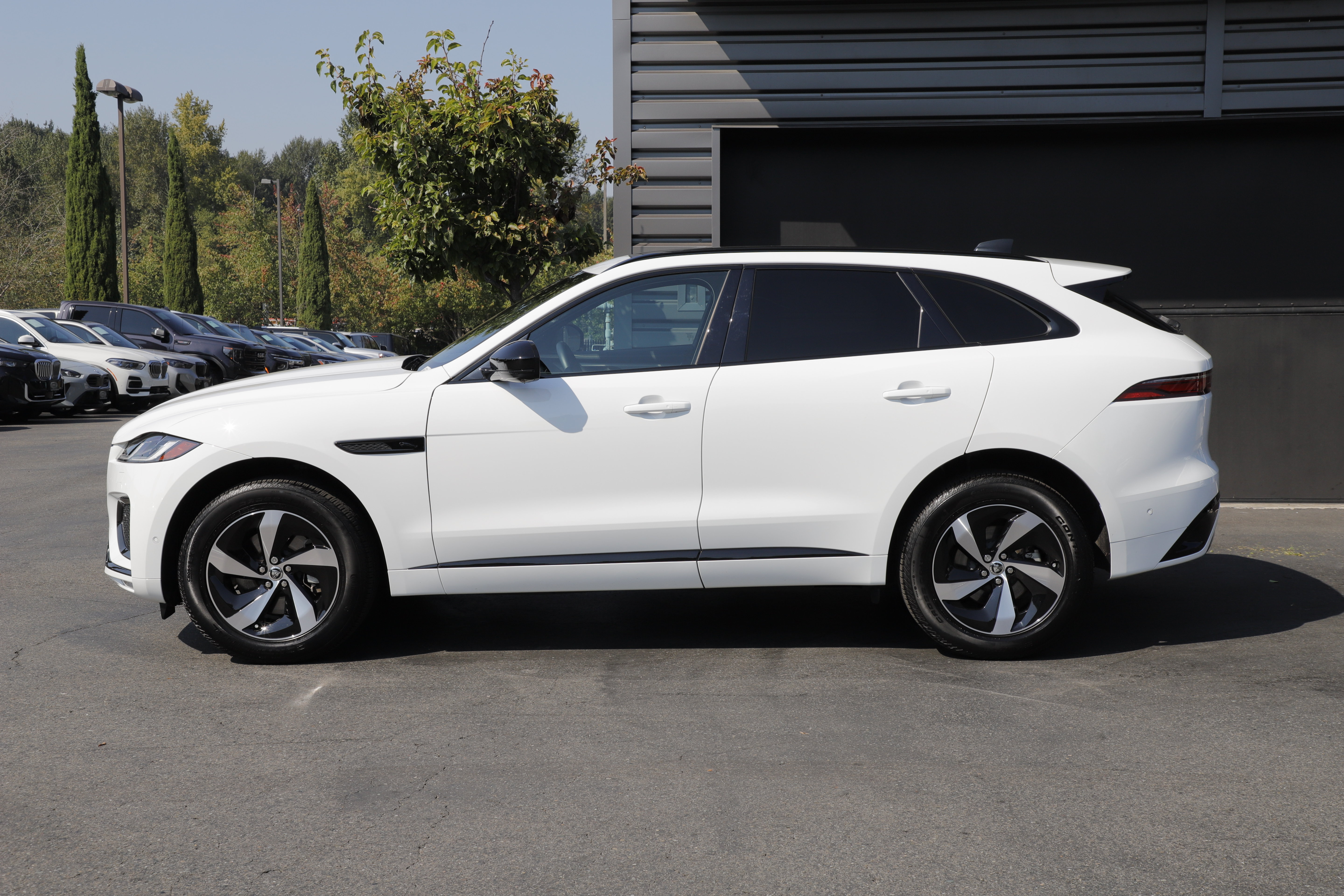 Certified 2025 Jaguar F-PACE R-Dynamic S AWD/4WD image 5