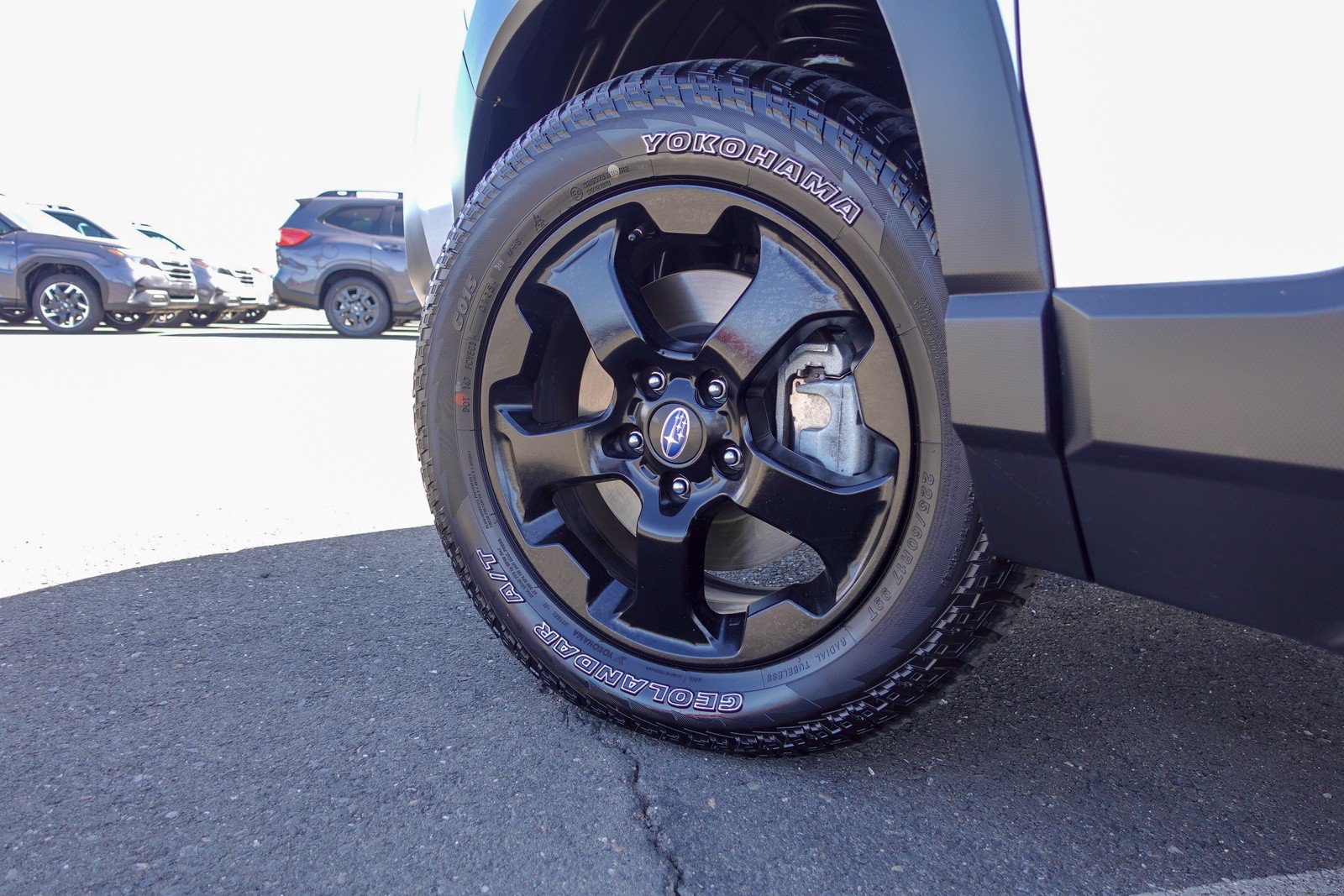 Certified 2025 Subaru Forester Wilderness AWD/4WD image 8