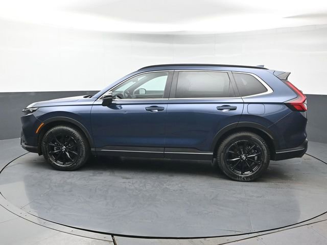 Used 2024 Honda CR-V Sport image 3