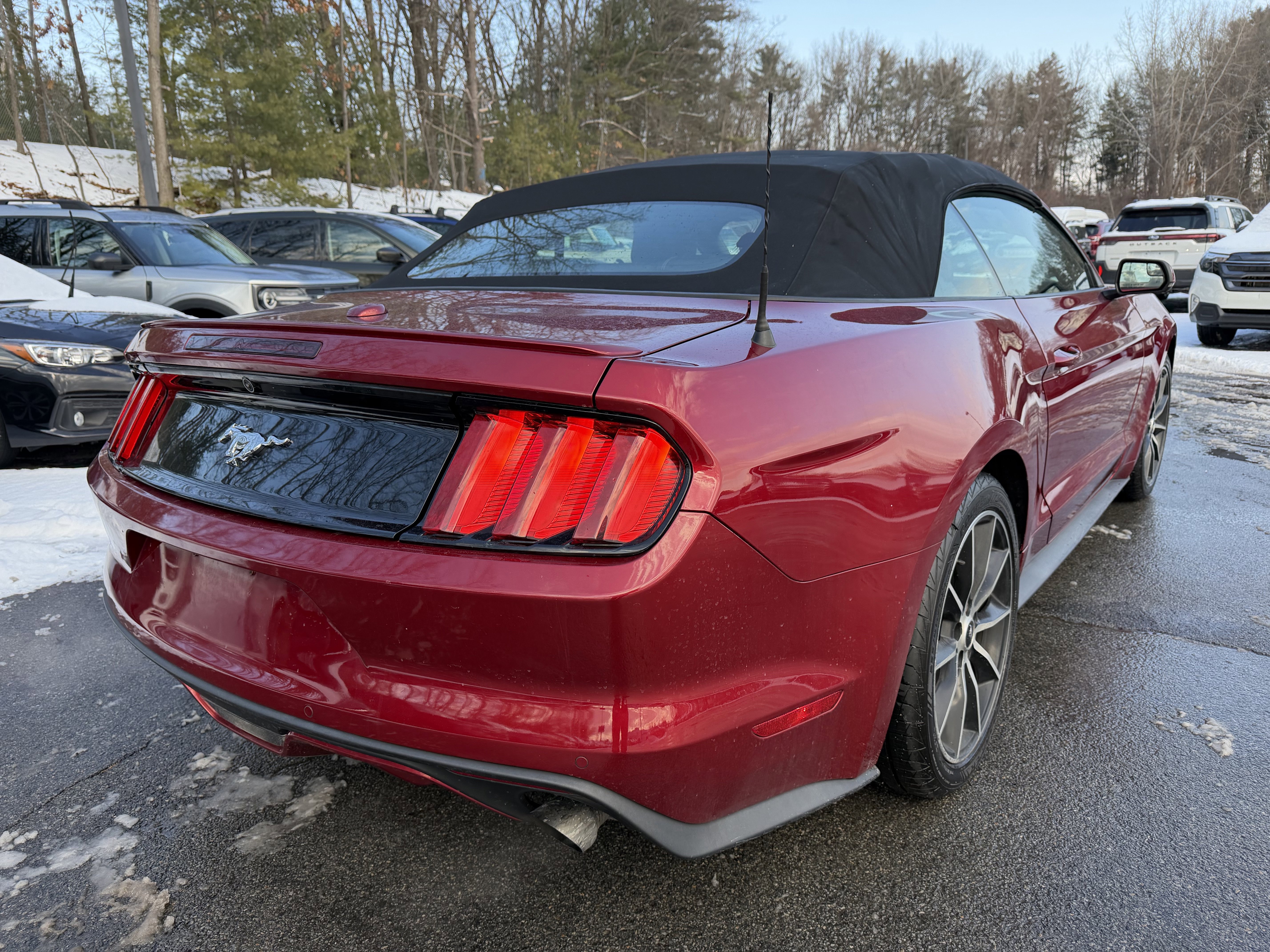 Used 2017 Ford Mustang Premium w/ Wheel & Stripe Package image 12