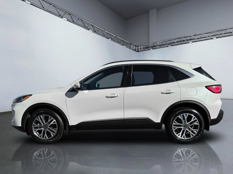 Used 2020 Ford Escape SEL AWD/4WD image 2
