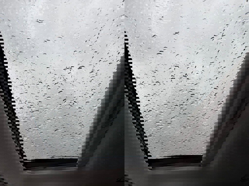 Used 2024 Hyundai Palisade Calligraphy image 19