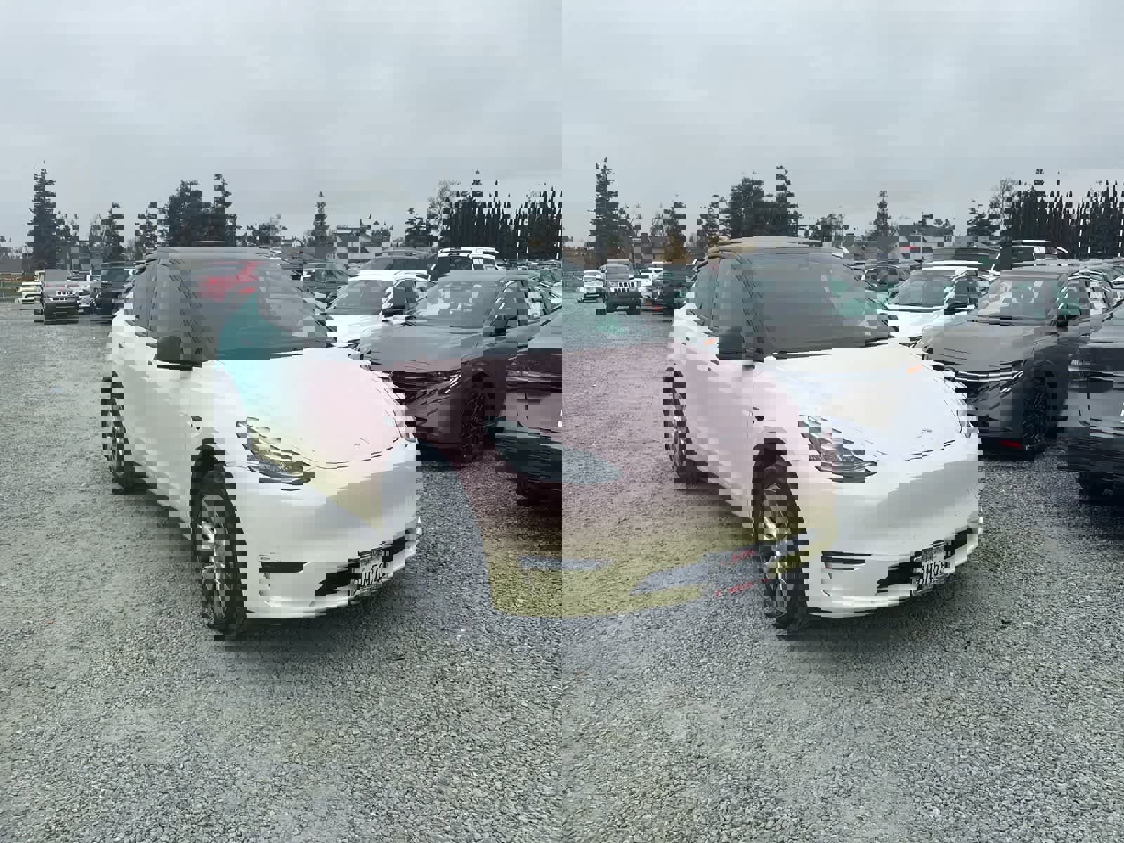 Used 2023 Tesla Model Y Long Range image 9