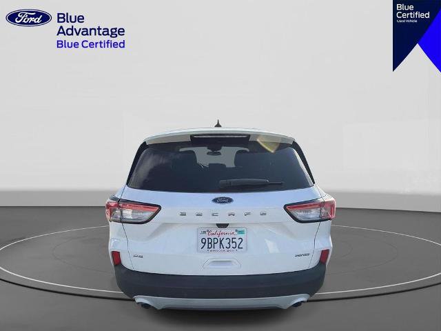 Certified 2022 Ford Escape SE w/ Convenience Package AWD/4WD image 5