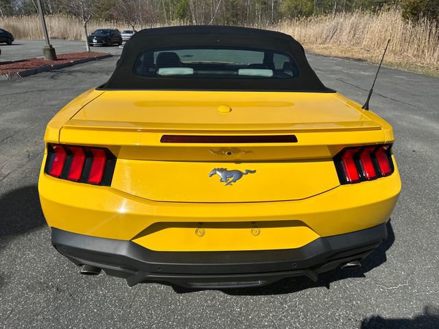 Used 2024 Ford Mustang Premium RWD image 5
