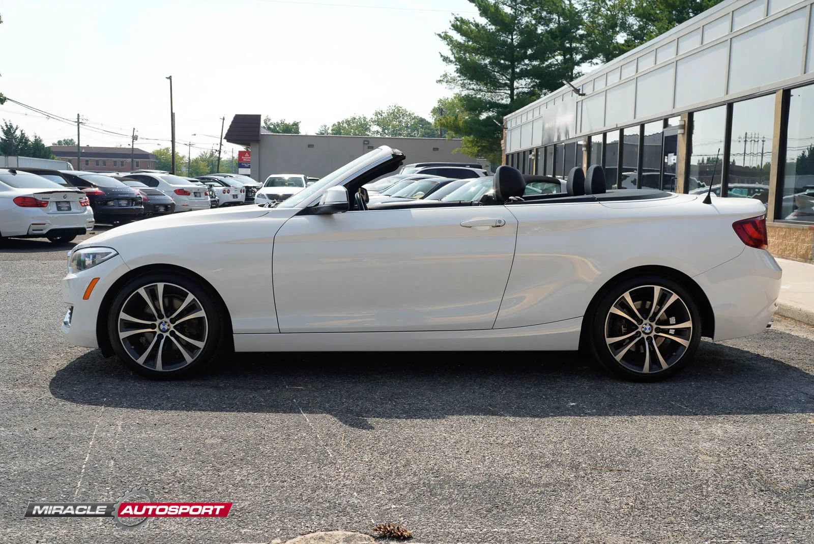 Used 2017 BMW 230i xDrive Convertible AWD/4WD image 3