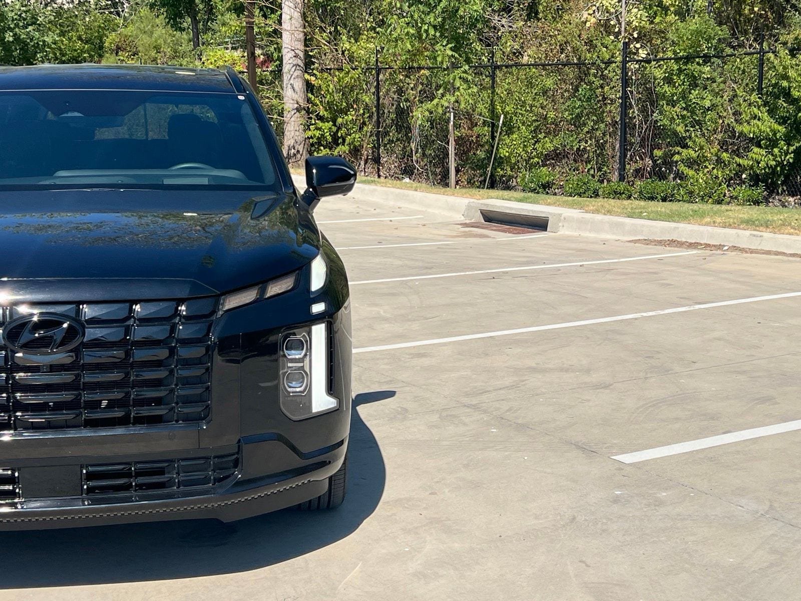 Used 2025 Hyundai Palisade Calligraphy AWD/4WD image 3