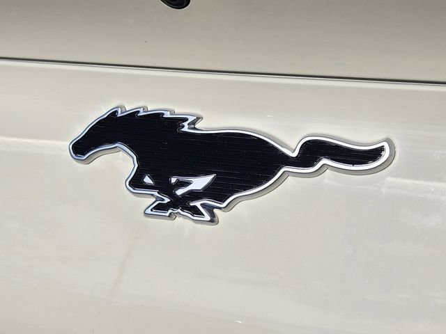 New 2026 Ford Mustang Mach-E Select w/ Technology Package image 16