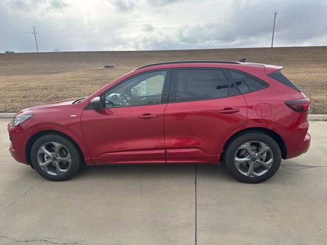 Used 2024 Ford Escape ST-Line image 6