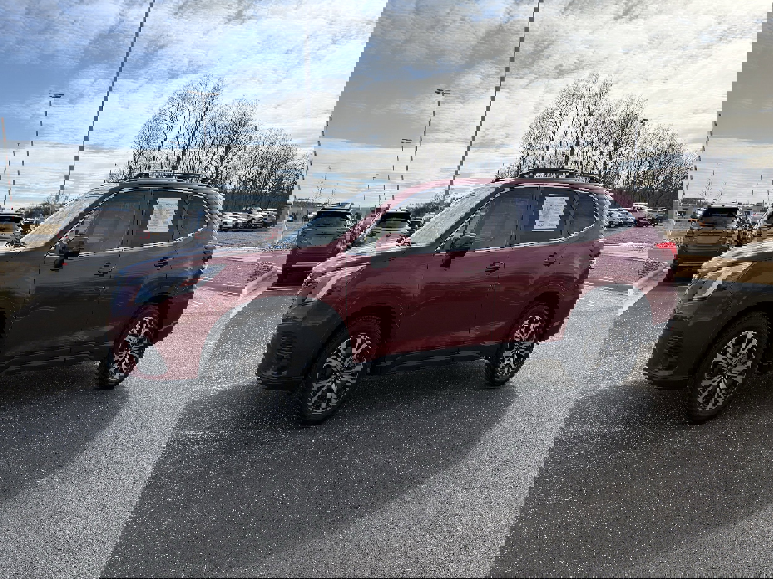 Certified 2024 Subaru Forester Limited image 4