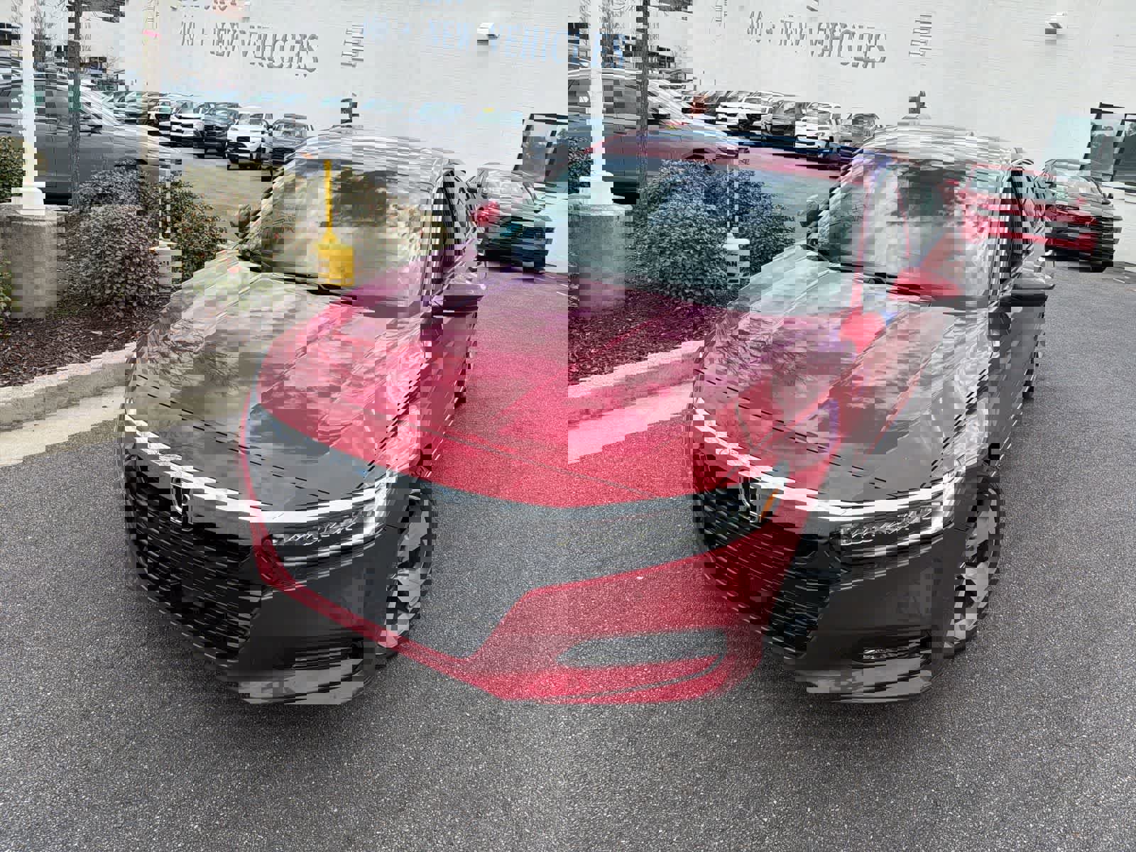 Used 2019 Honda Accord Touring image 4