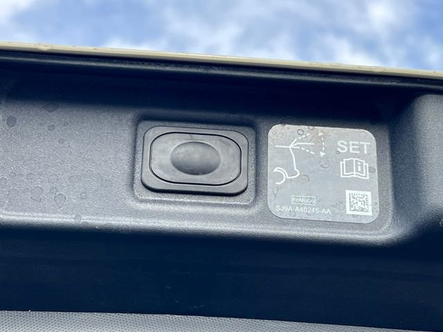 New 2025 Ford Mustang Mach-E GT w/ Interior Protection Package image 40