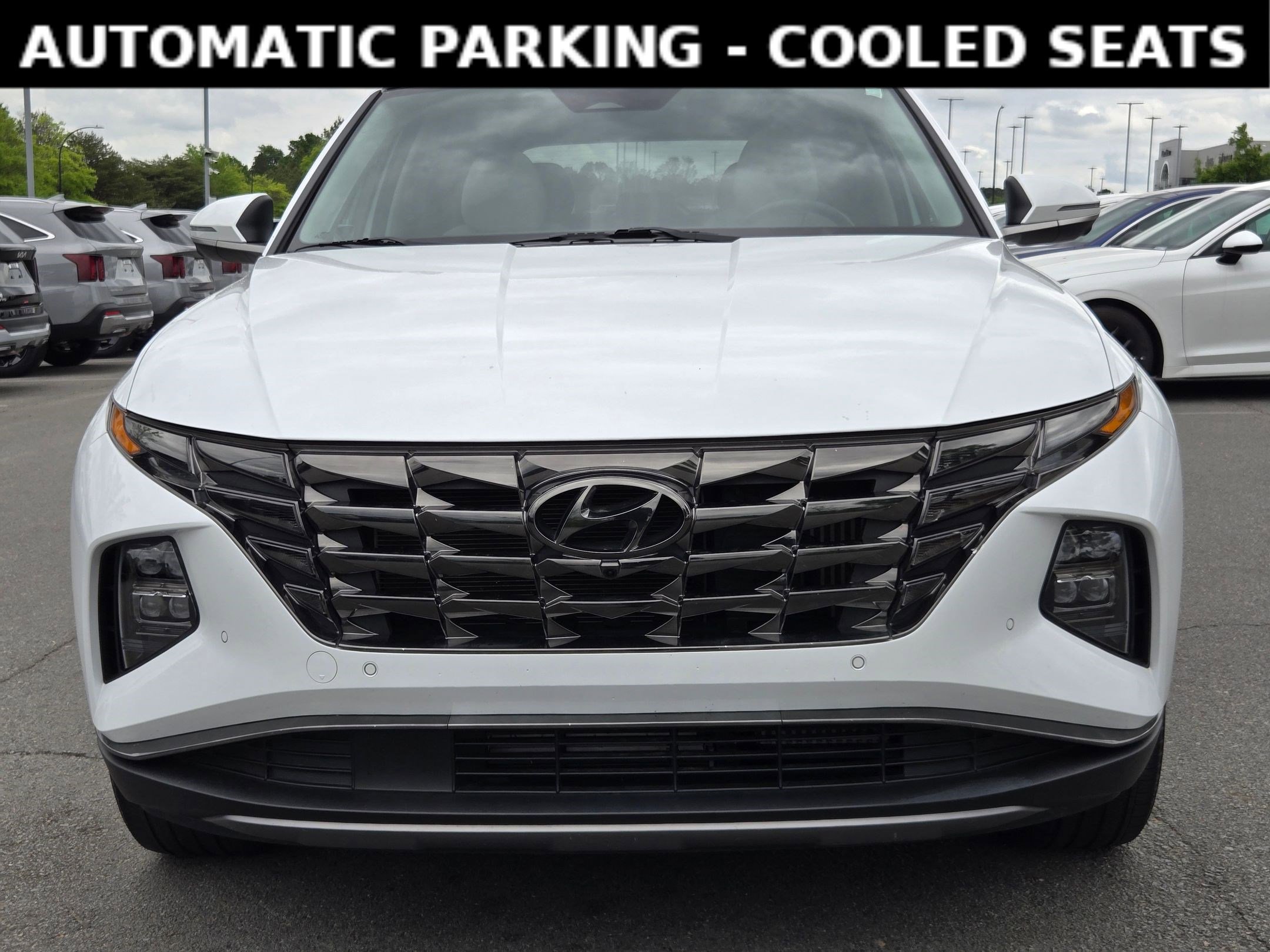 Used 2022 Hyundai Tucson Limited image 2