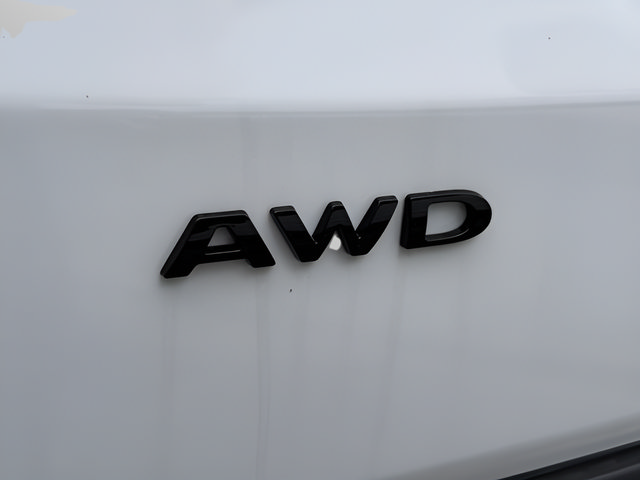 New 2026 Ford Transit 150 148 Medium Roof AWD w/ Load Area Protection Package image 19