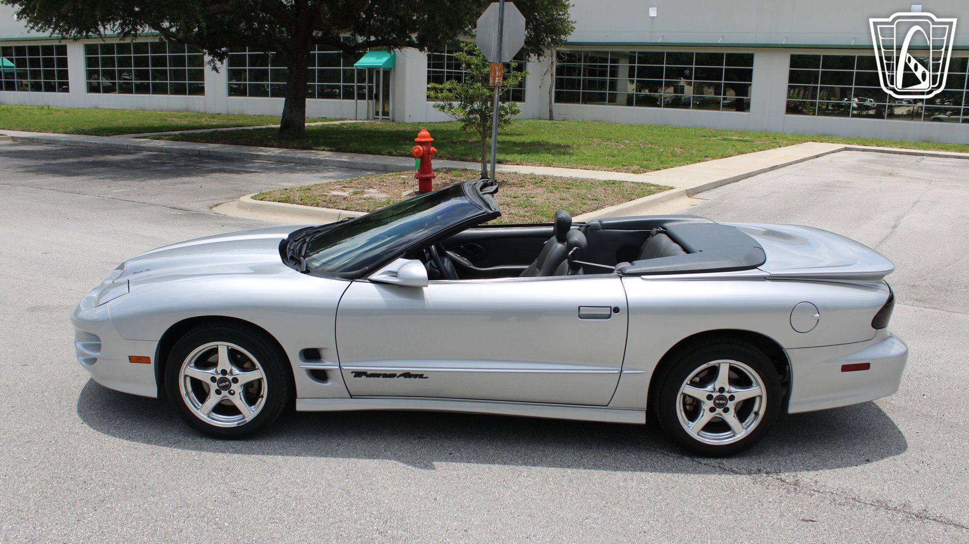 Used 1999 Pontiac Firebird Trans Am RWD image 19