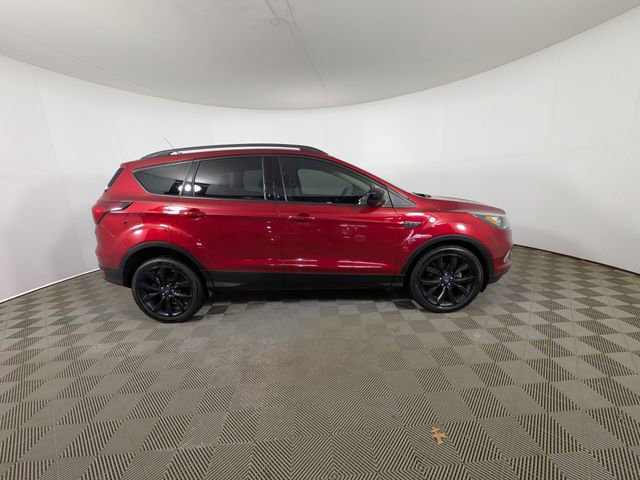 Used 2019 Ford Escape SE FWD image 4