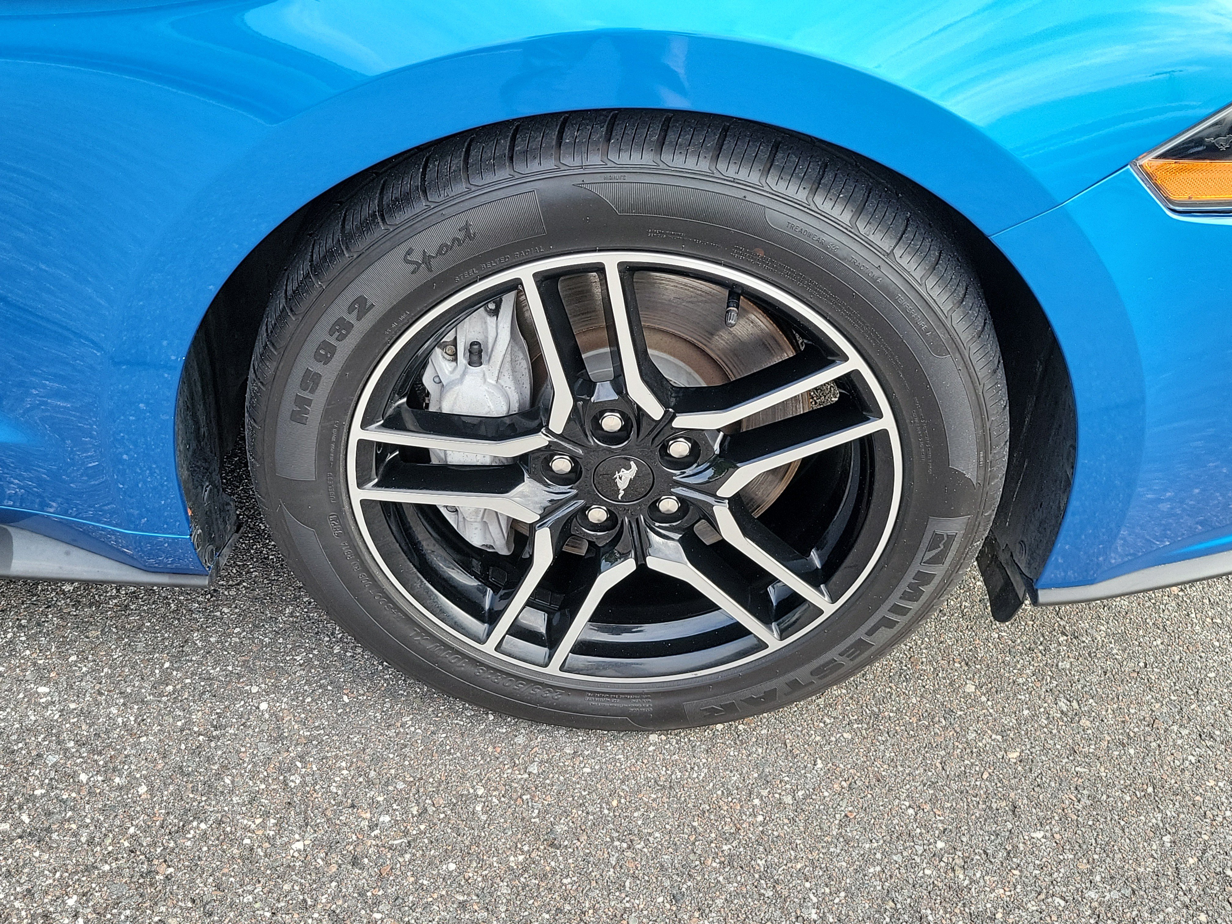 Used 2019 Ford Mustang GT Premium RWD image 34