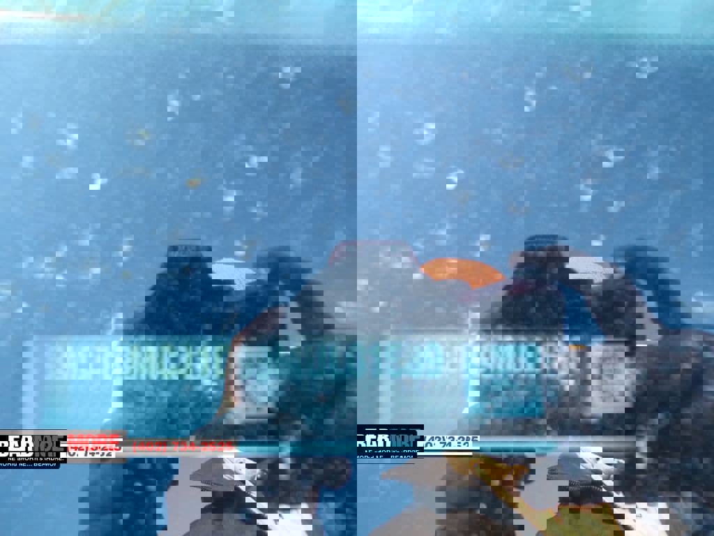 Used 2021 Lincoln Corsair Standard w/ Rear Removable Package Tray image 36