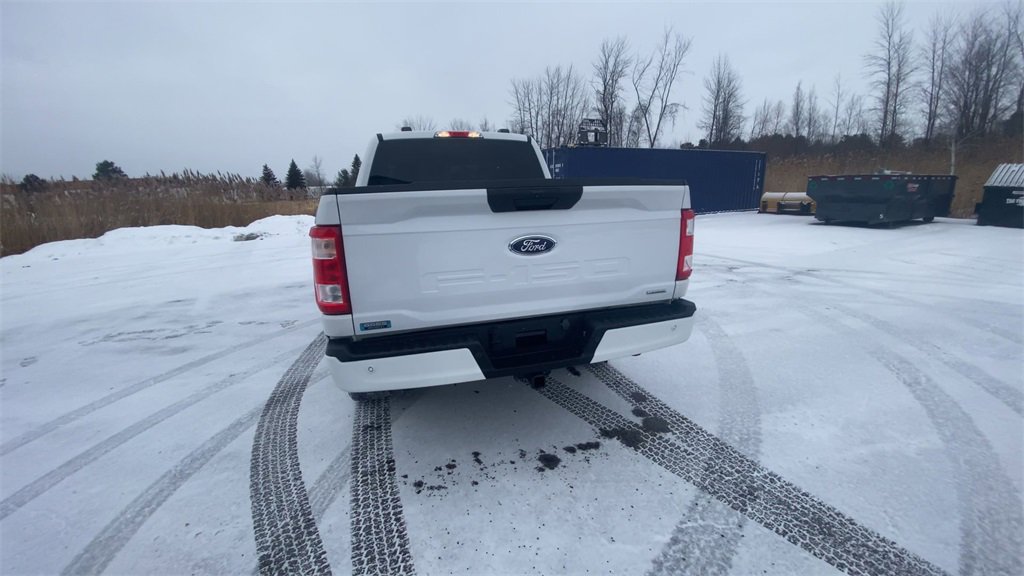 Used 2023 Ford F150 XL w/ STX Appearance Package image 7