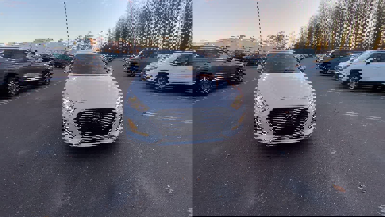 Used 2019 Hyundai Sonata Limited image 11