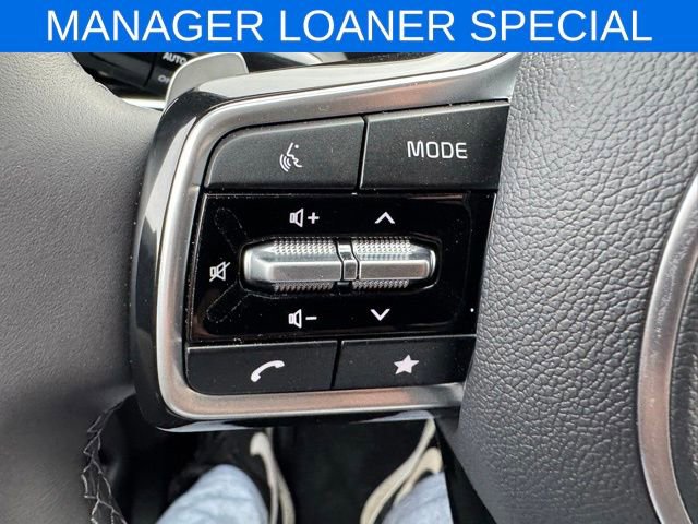 New 2025 Kia Carnival LXS image 19