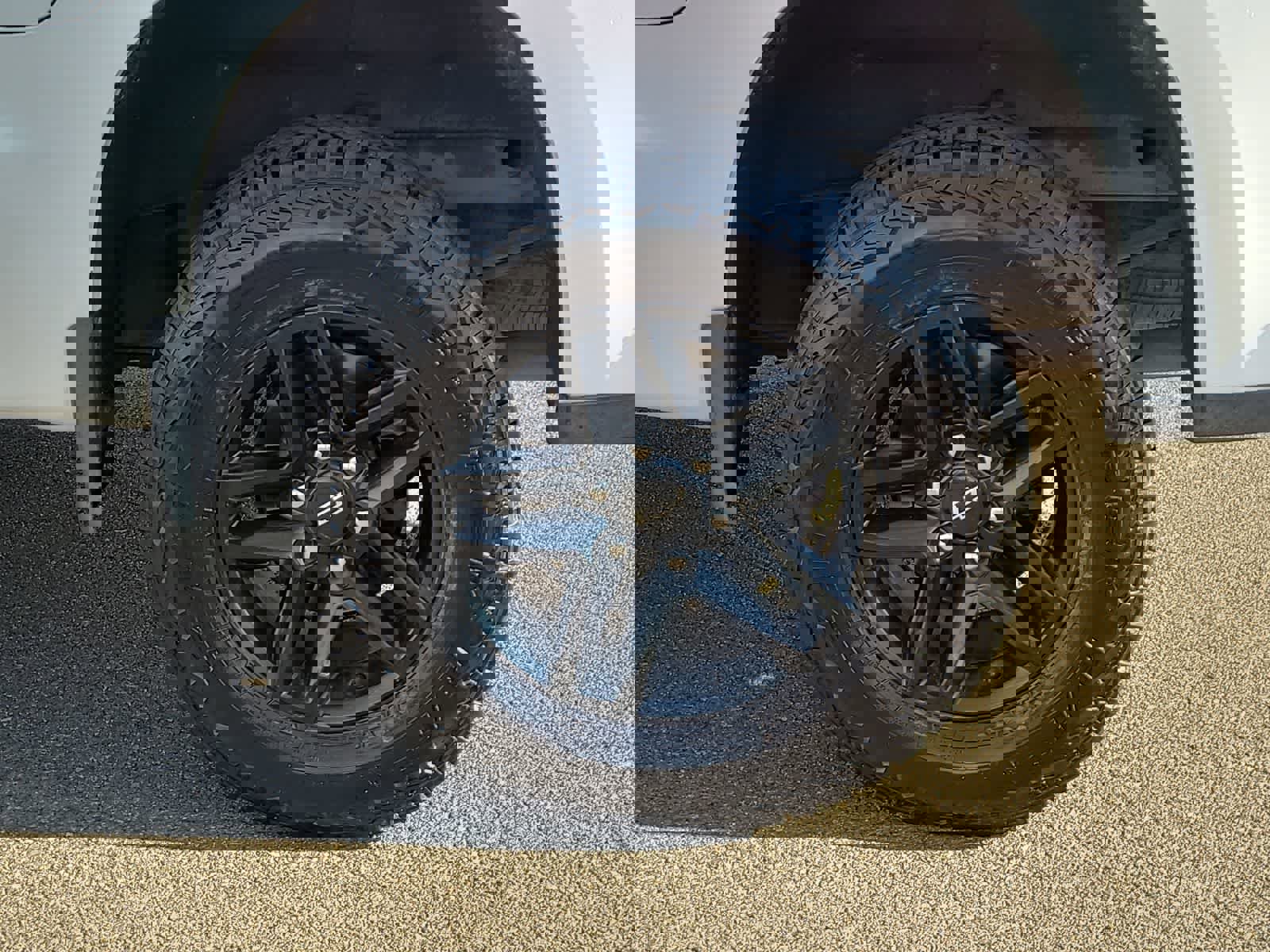 Used 2019 Chevrolet Silverado 1500 LT Trail Boss image 16