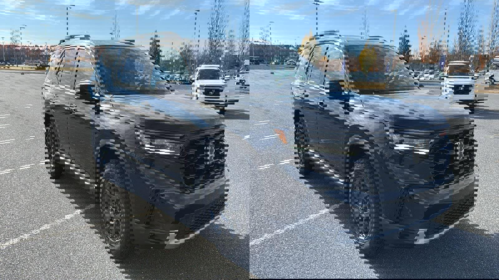 New 2025 Honda Pilot TrailSport