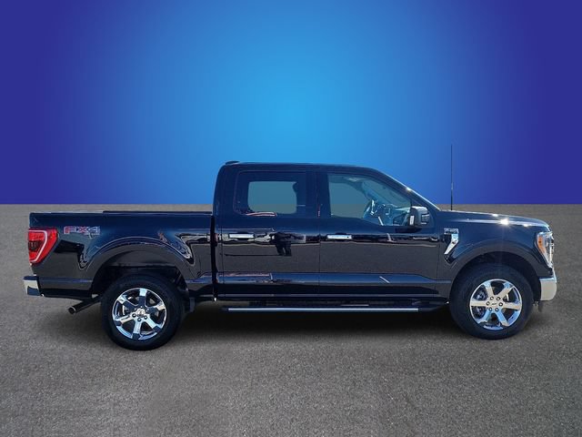New 2023 Ford F150 XLT w/ Equipment Group 302A High AWD/4WD image 3