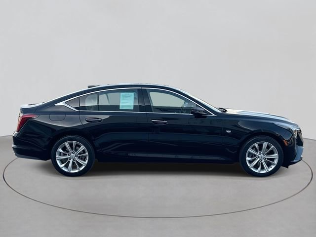 Used 2025 Cadillac CT5 Premium Luxury w/ Technology Package image 4