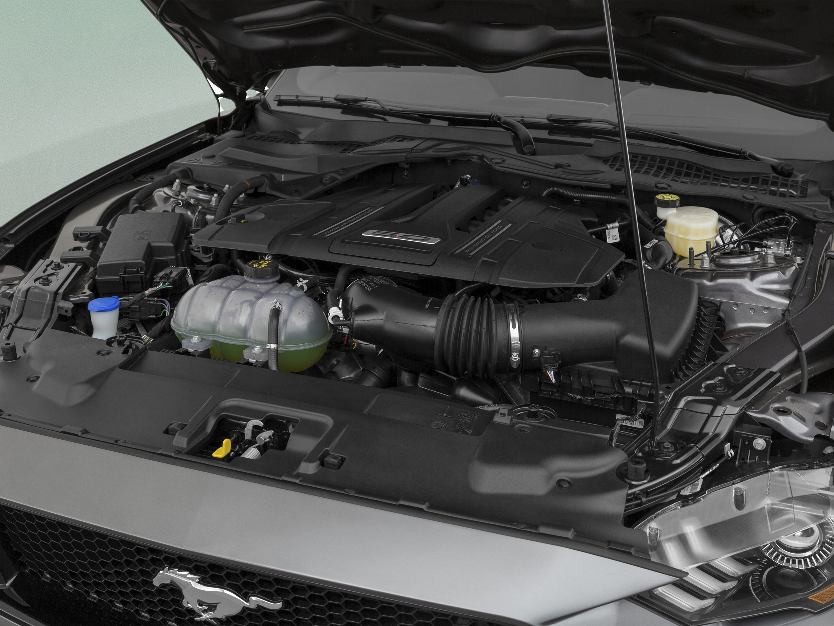 Used 2022 Ford Mustang GT w/ Equipment Group 301A RWD image 16