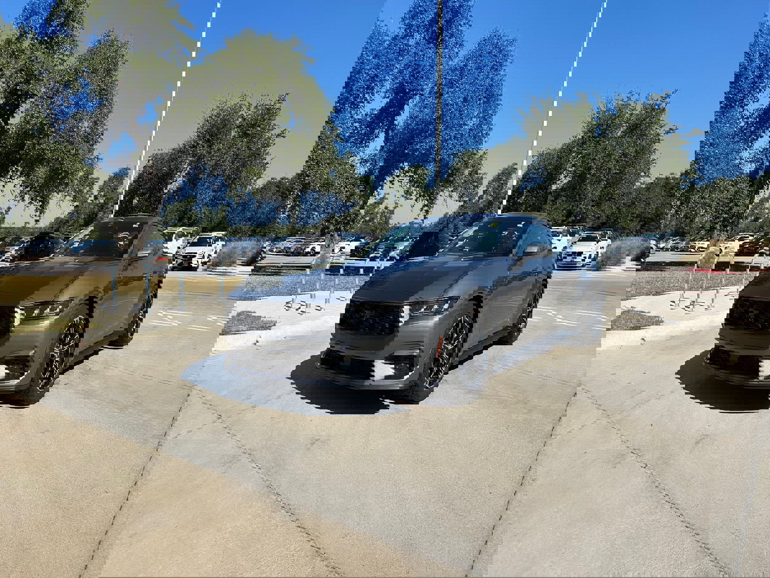 Used 2024 Ford Mustang EcoBoost image 2