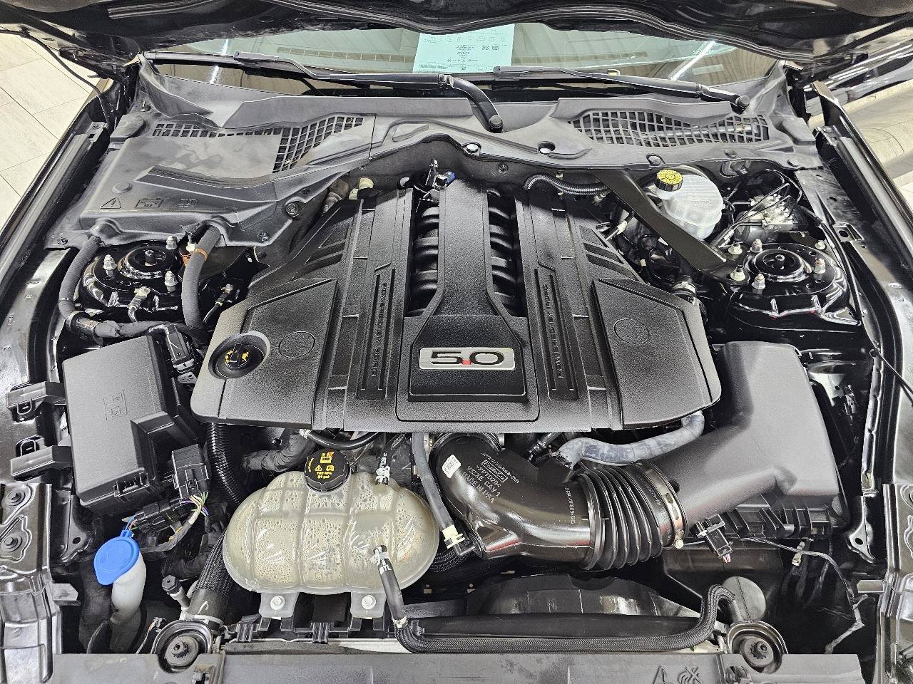 Used 2023 Ford Mustang GT Premium w/ Equipment Group 401A RWD image 40