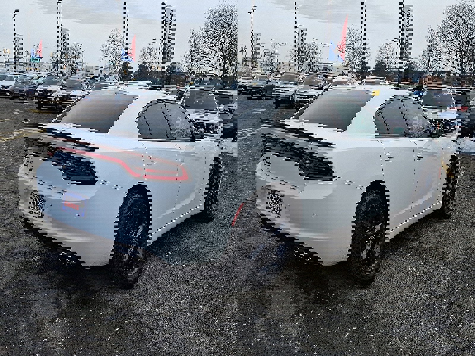 Used 2023 Dodge Charger SXT w/ Blacktop Package image 6