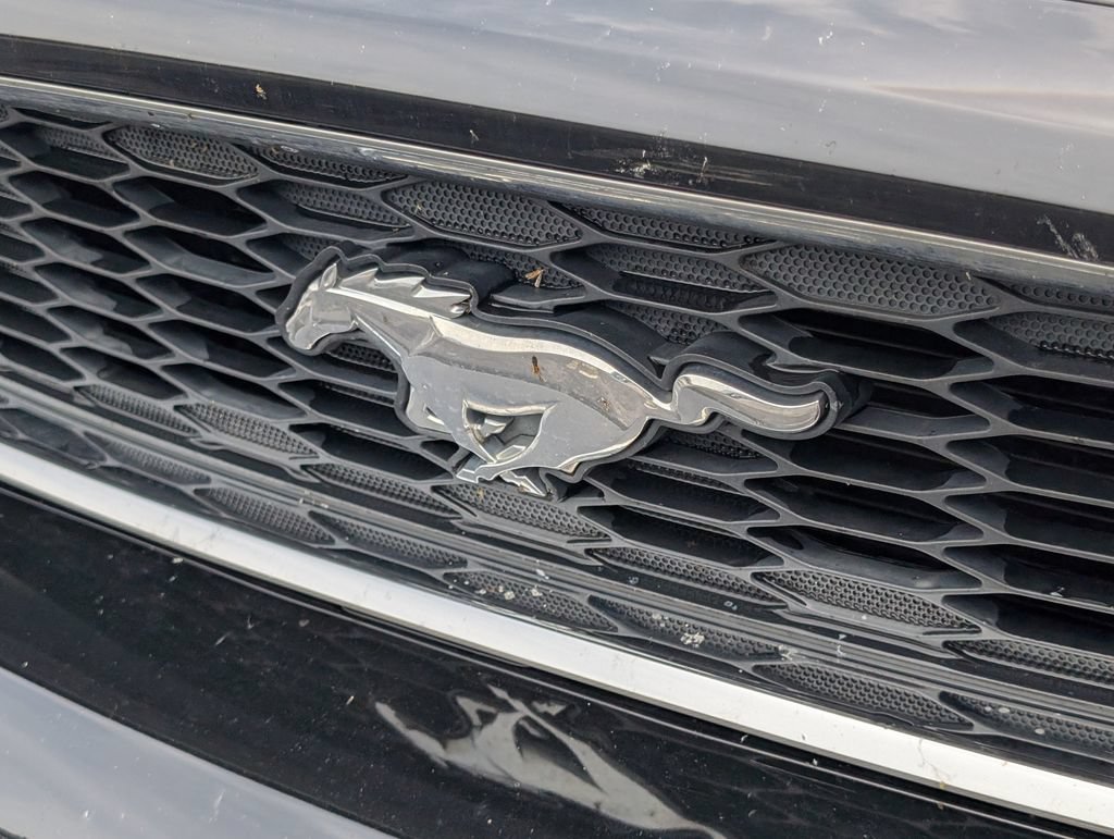 Used 2014 Ford Mustang Coupe RWD image 9