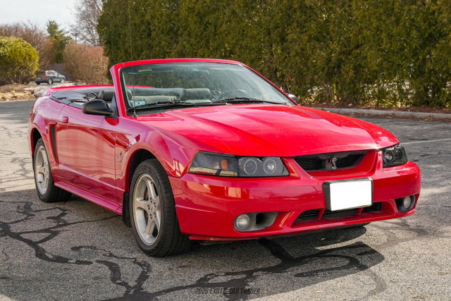Used 1999 Ford Mustang Cobra RWD image 12