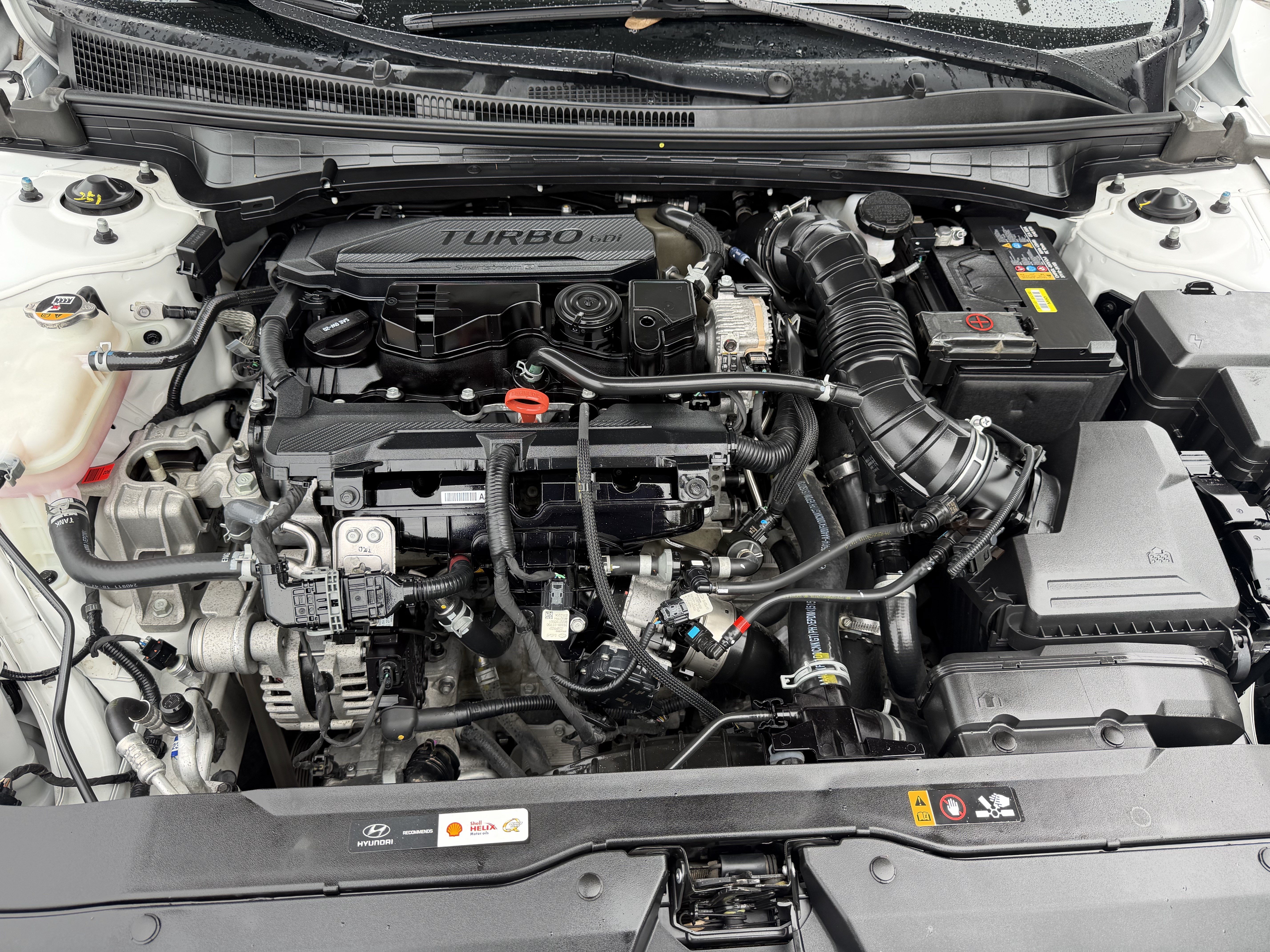 Used 2025 Hyundai Elantra N Line FWD image 31