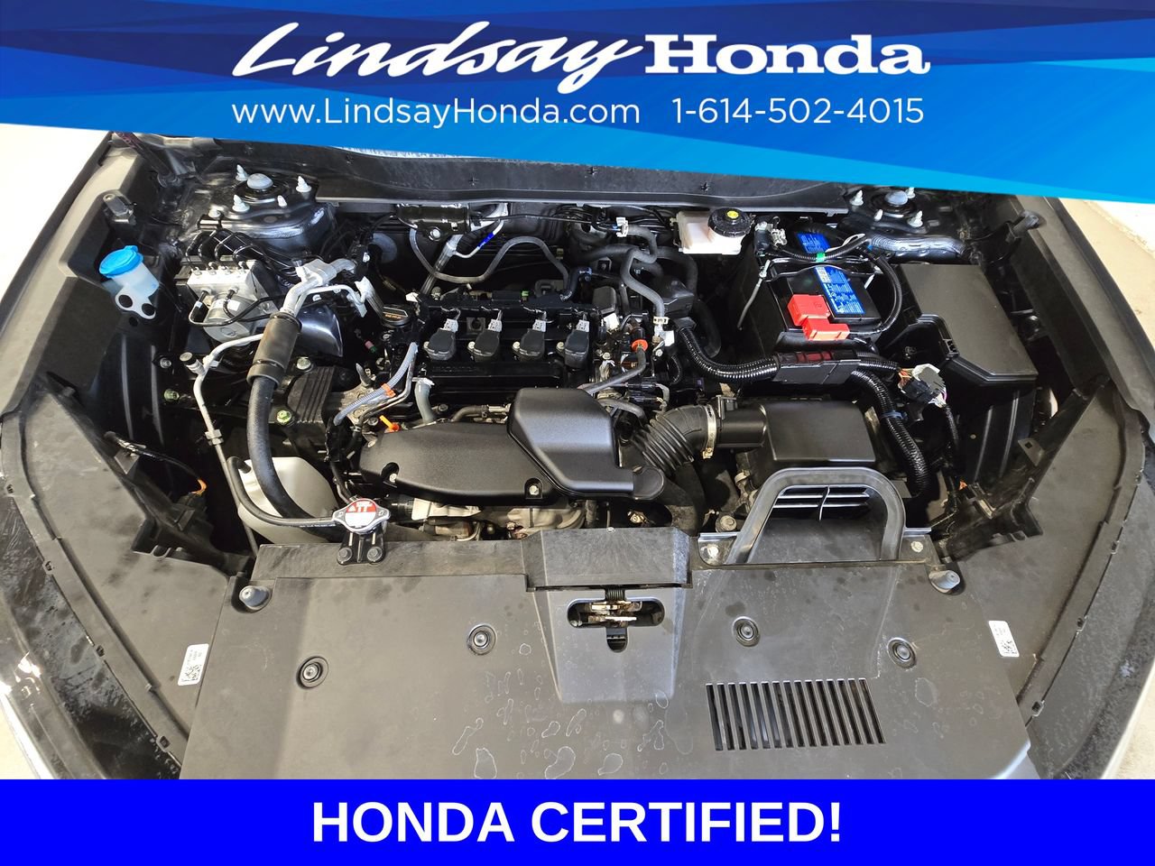 Certified 2023 Honda CR-V EX-L image 25