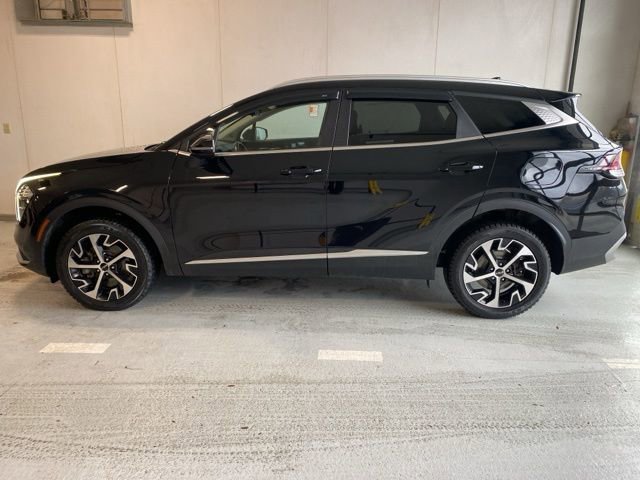 Used 2023 Kia Sportage EX image 8