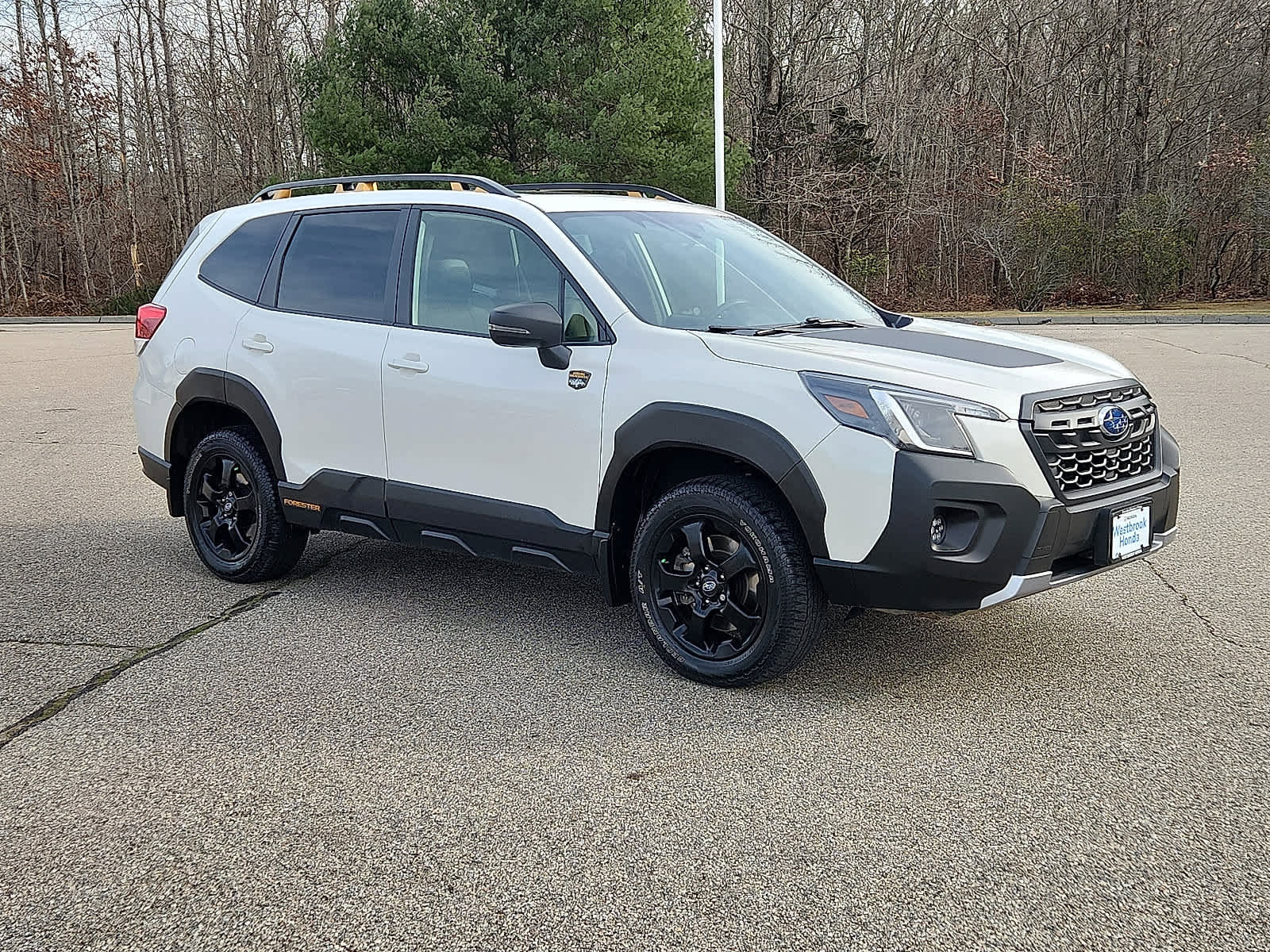 Used 2023 Subaru Forester Wilderness image 4