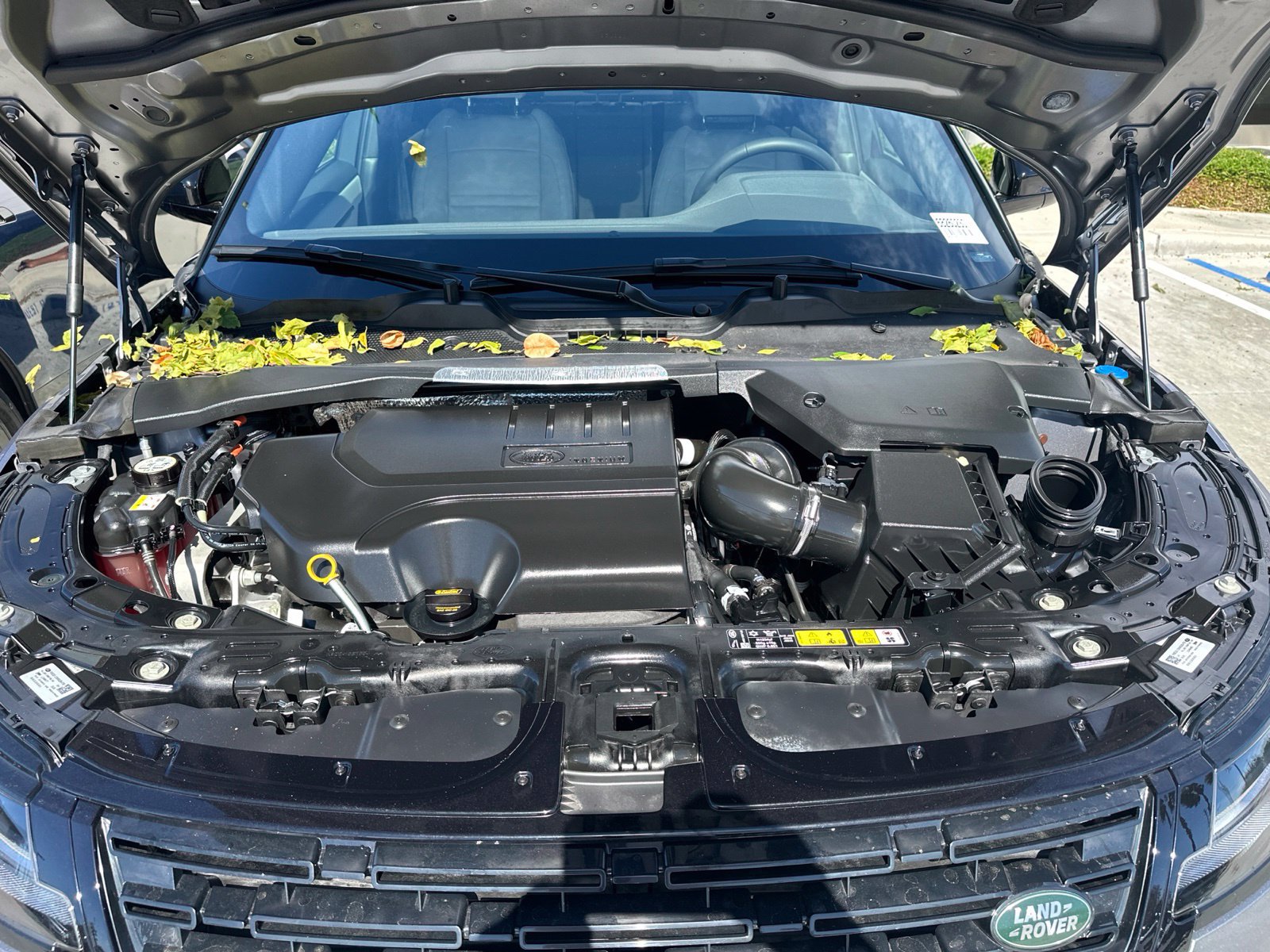 Certified 2026 Land Rover Range Rover Evoque S AWD/4WD image 8