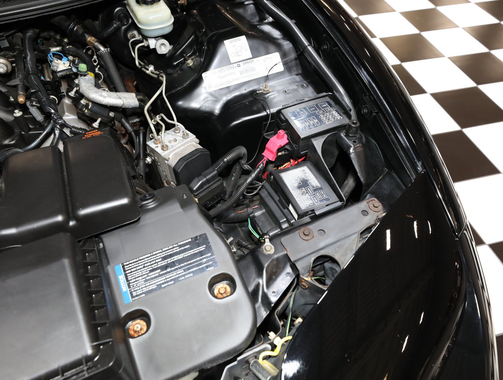 Used 1999 Pontiac Firebird Trans Am RWD image 77