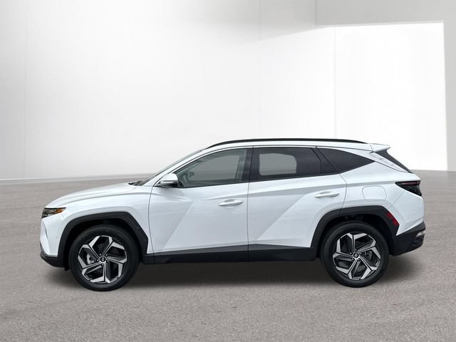 Used 2024 Hyundai Tucson Limited AWD/4WD image 14
